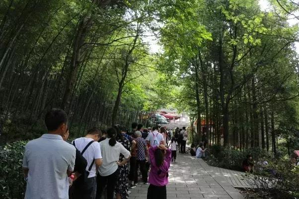 竹海国庆旅游记,竹海风景区国庆节