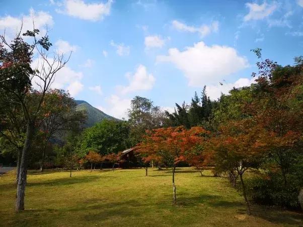 竹海国庆旅游记,竹海风景区国庆节