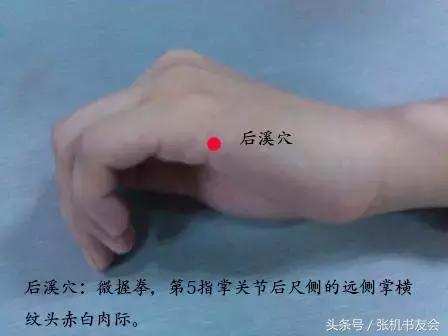 道家论述奇经八脉的书,奇经八脉与道家修炼