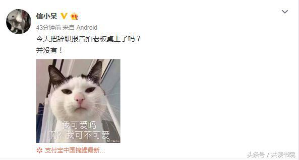 300w的锦鲤,300w锦鲤