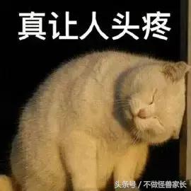 让海淘变得简单的3个母婴网站,哪个海淘母婴网站最好