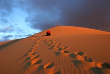 樊梨花生平事迹20字,樊梨花生平事迹