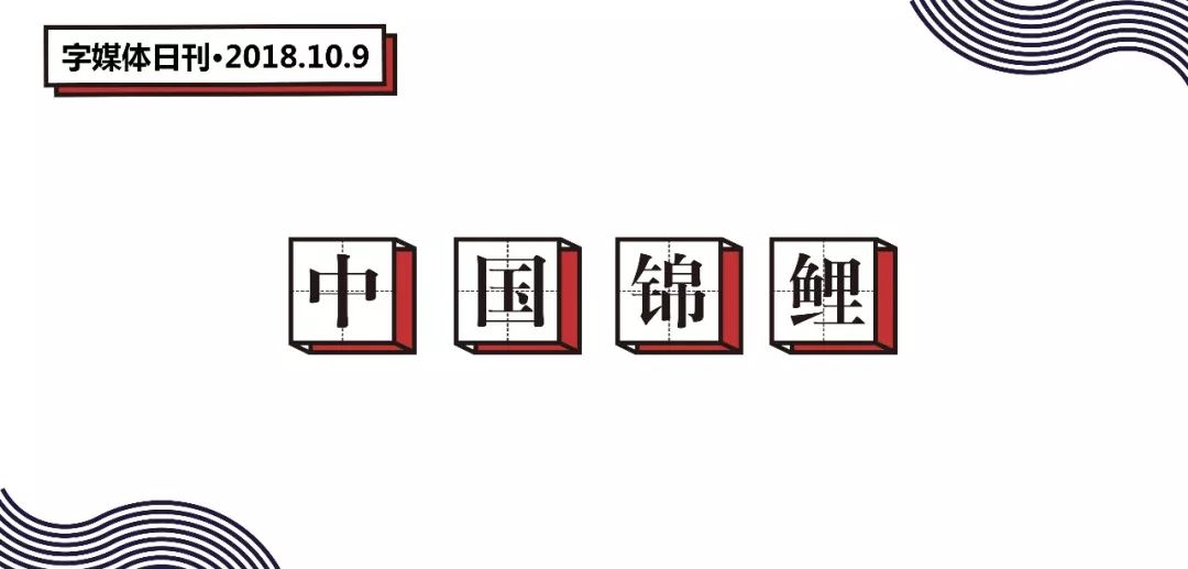 被支付宝选中的锦鲤女孩中奖一亿,被支付宝砸中的锦鲤