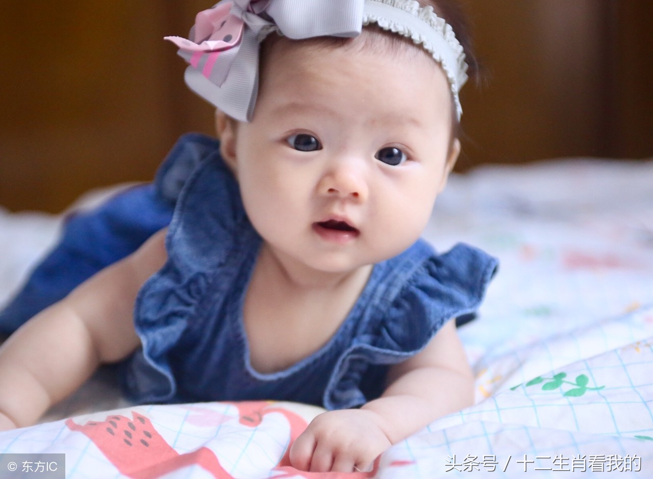 属狗取名适合的字,属狗宝宝取名禁忌