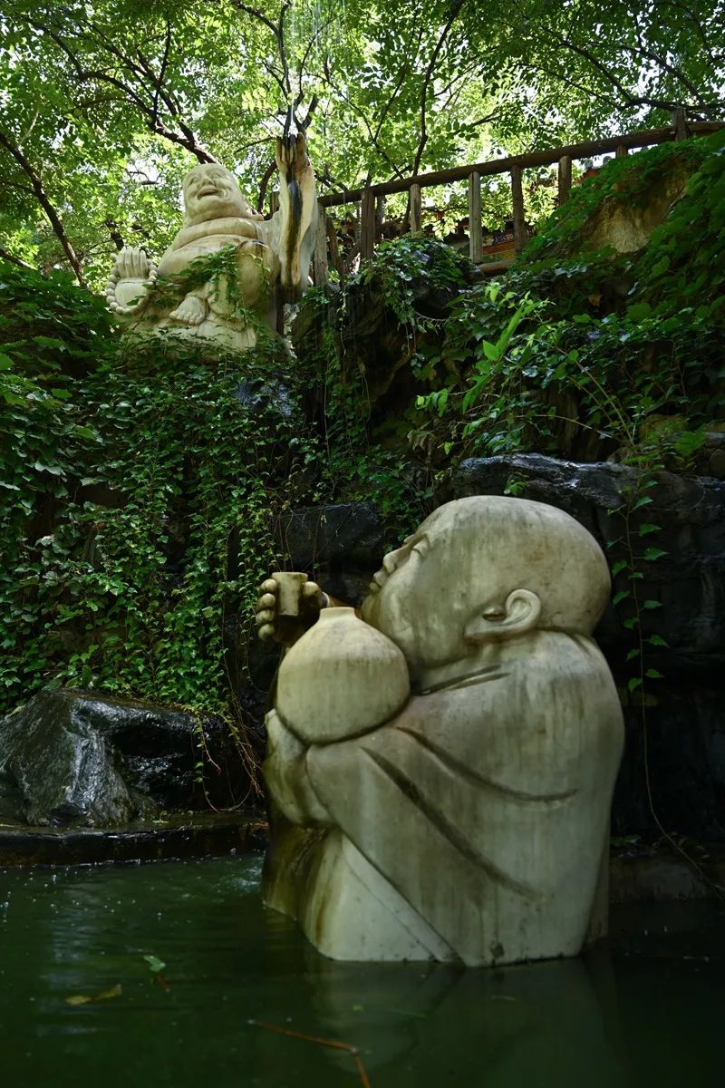 尼康z30挂机头推荐,尼康z系列挂机头推荐