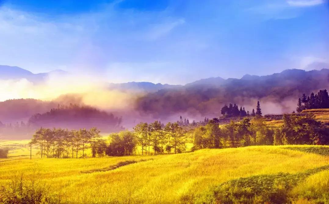 浙南绝美秘境,浙南生态秘境自驾