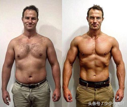 蛋白粉怎样吃才是正确的,蛋粉吃多了会怎样