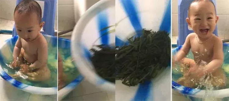 艾叶煮水的小妙用,妈妈用艾叶水煮鸡蛋