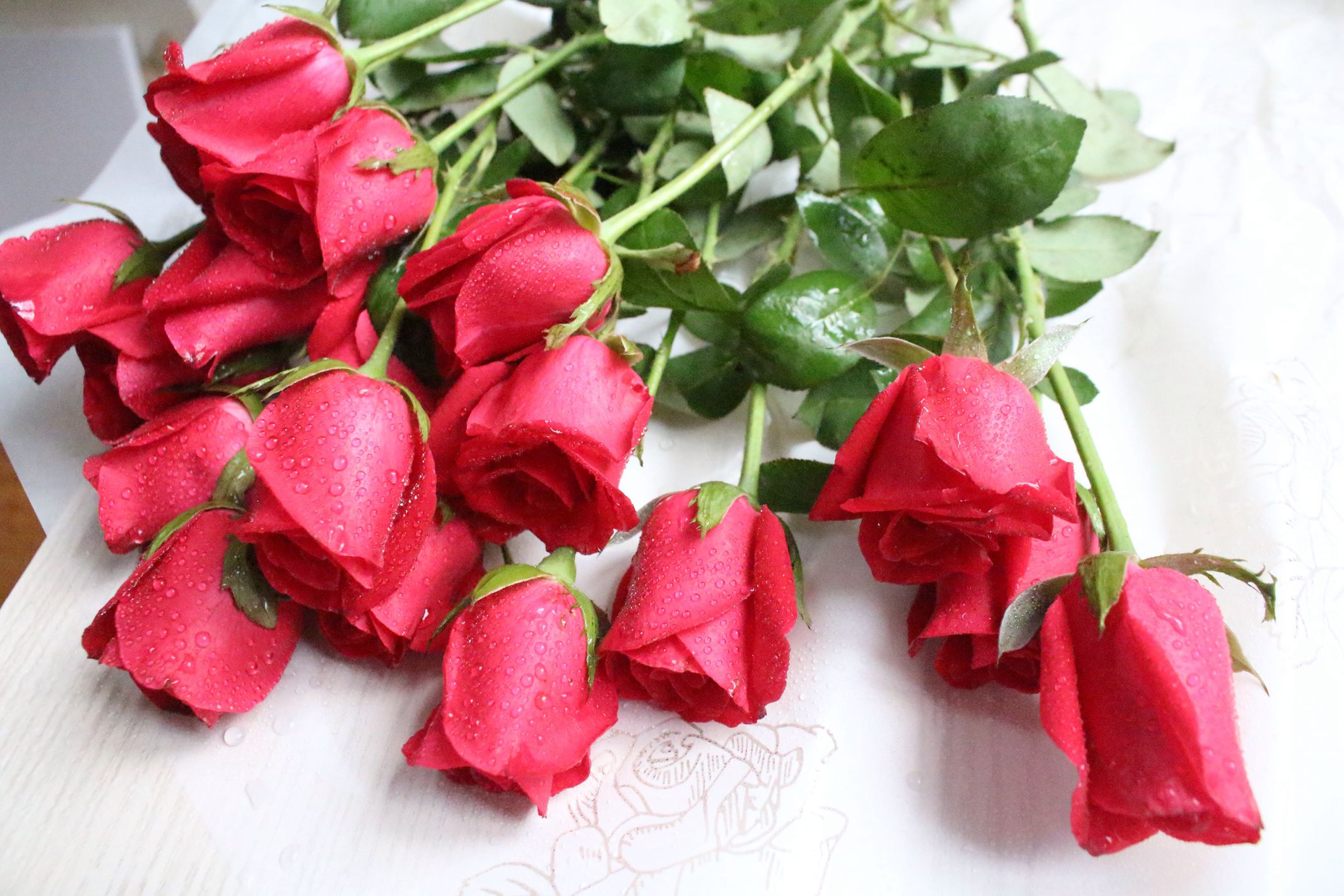 关于你不知道的事,关于你不知道的事视频