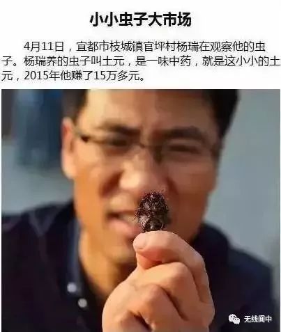 身价暴涨！蓬安农村这东西竟然卖300一斤？你家都有！