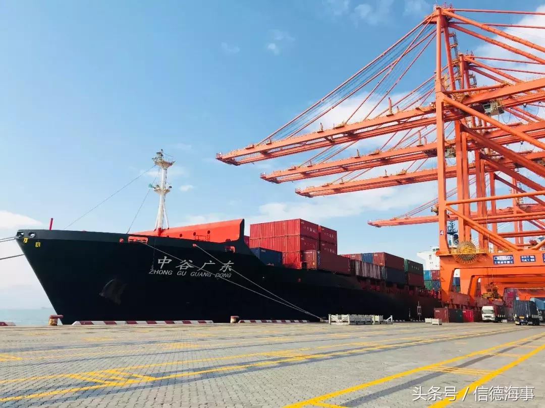 北海市中谷海运招聘,中谷海运集团招聘信息