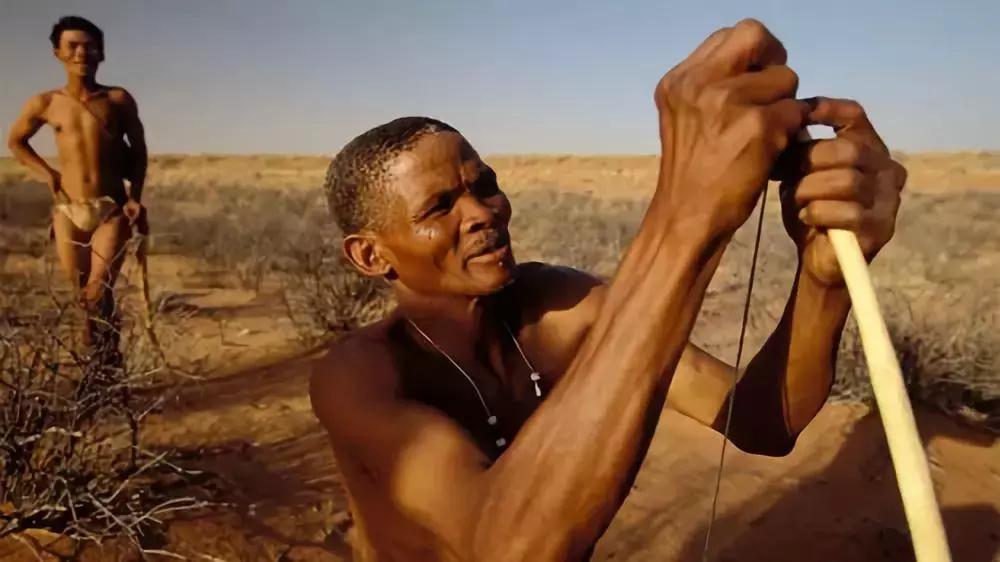 人类在演化中为什么会褪去体毛,人类的体毛怎么进化没了