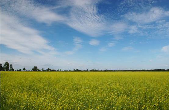 张家口自驾游必去的十个景点,张家口旅游景点大全图片欣赏
