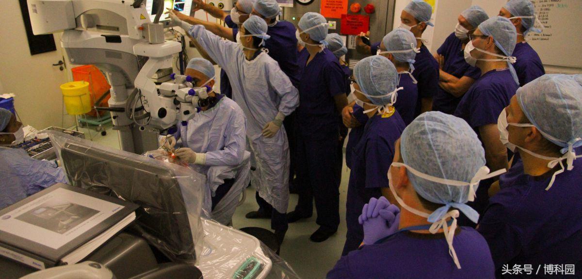 失明40年重见光明基因疗法创奇迹,基因疗法治疗罕见失明