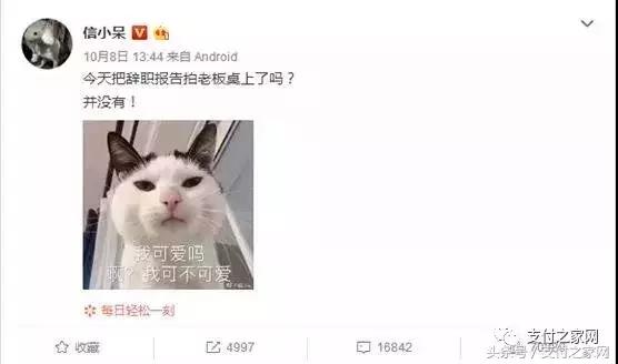 支付宝中国锦鲤规则,支付宝的锦鲤活动是真的吗