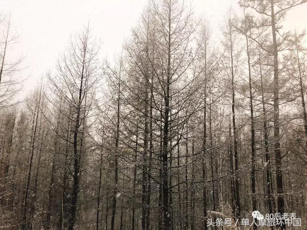北极村到冷极村的路,摩旅边境日记