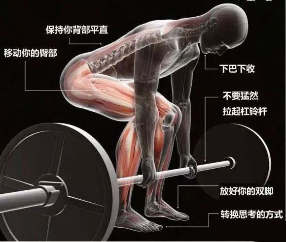 硬拉腰部受伤后恢复训练,硬拉腰受伤多久能恢复锻炼