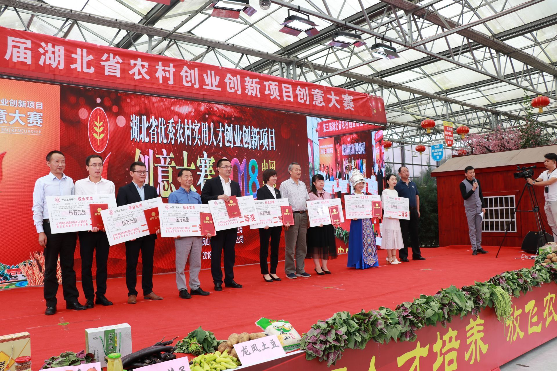 湖北省大学生创新创业项目,咸宁市农村实用人才创新项目