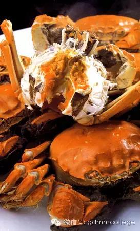 大闸蟹生活常识大全,大闸蟹你不知道的一些知识点