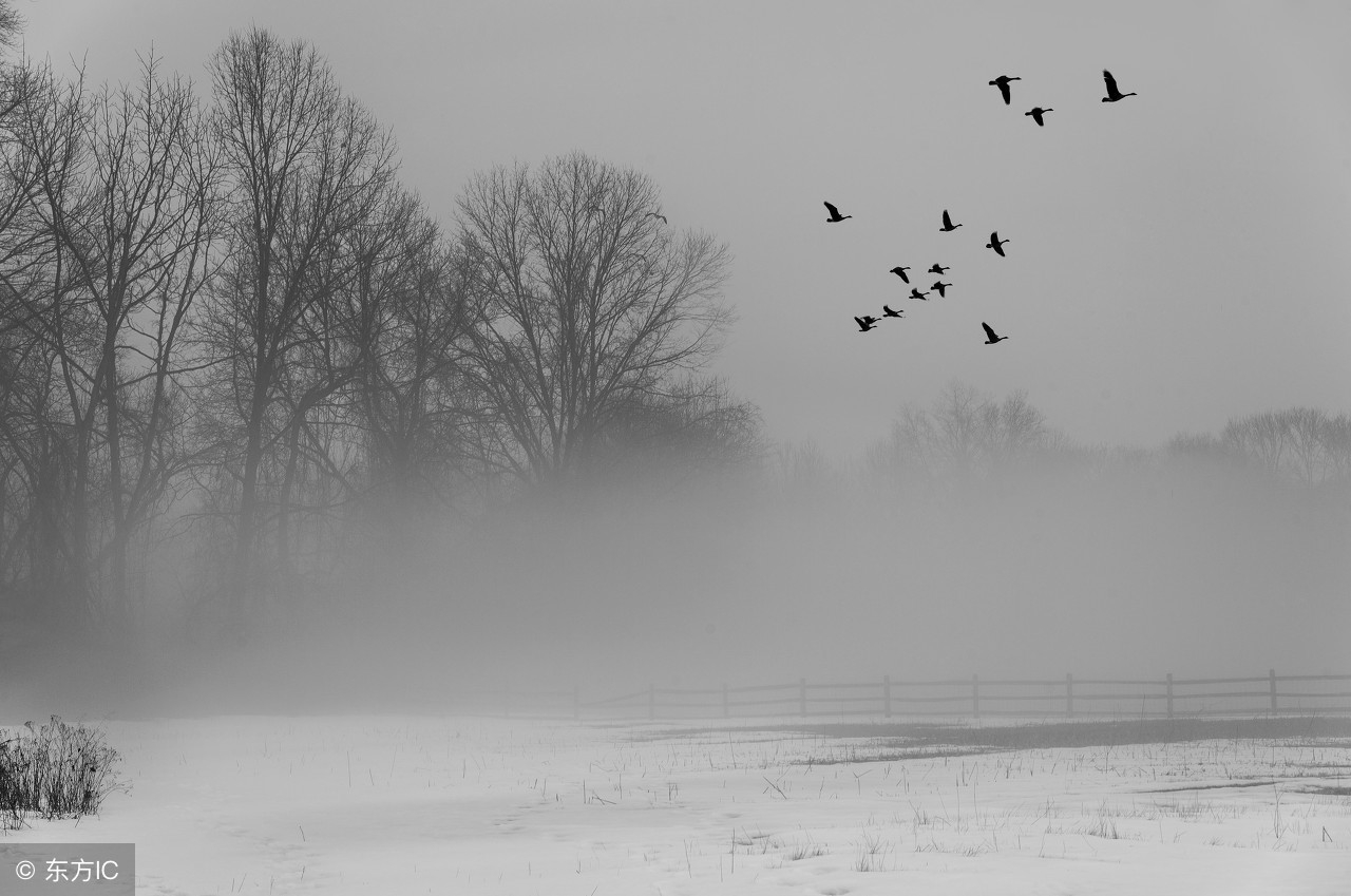 铁道兵战友抒情诗作一组,铁道兵诗歌100首