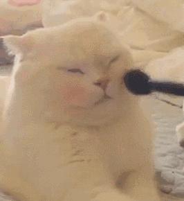 一套香奈儿山茶花套装多少钱,一套香奈儿护肤套装多少钱