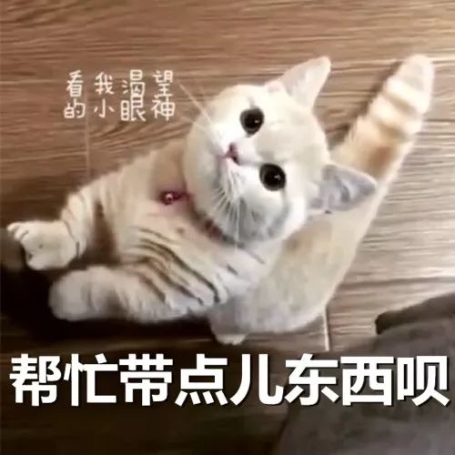 我的十一长假,我的十一假期