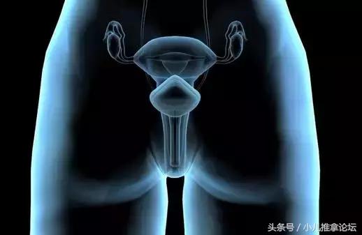 颜面望诊的详细版图解,颜面望诊最全有图讲解