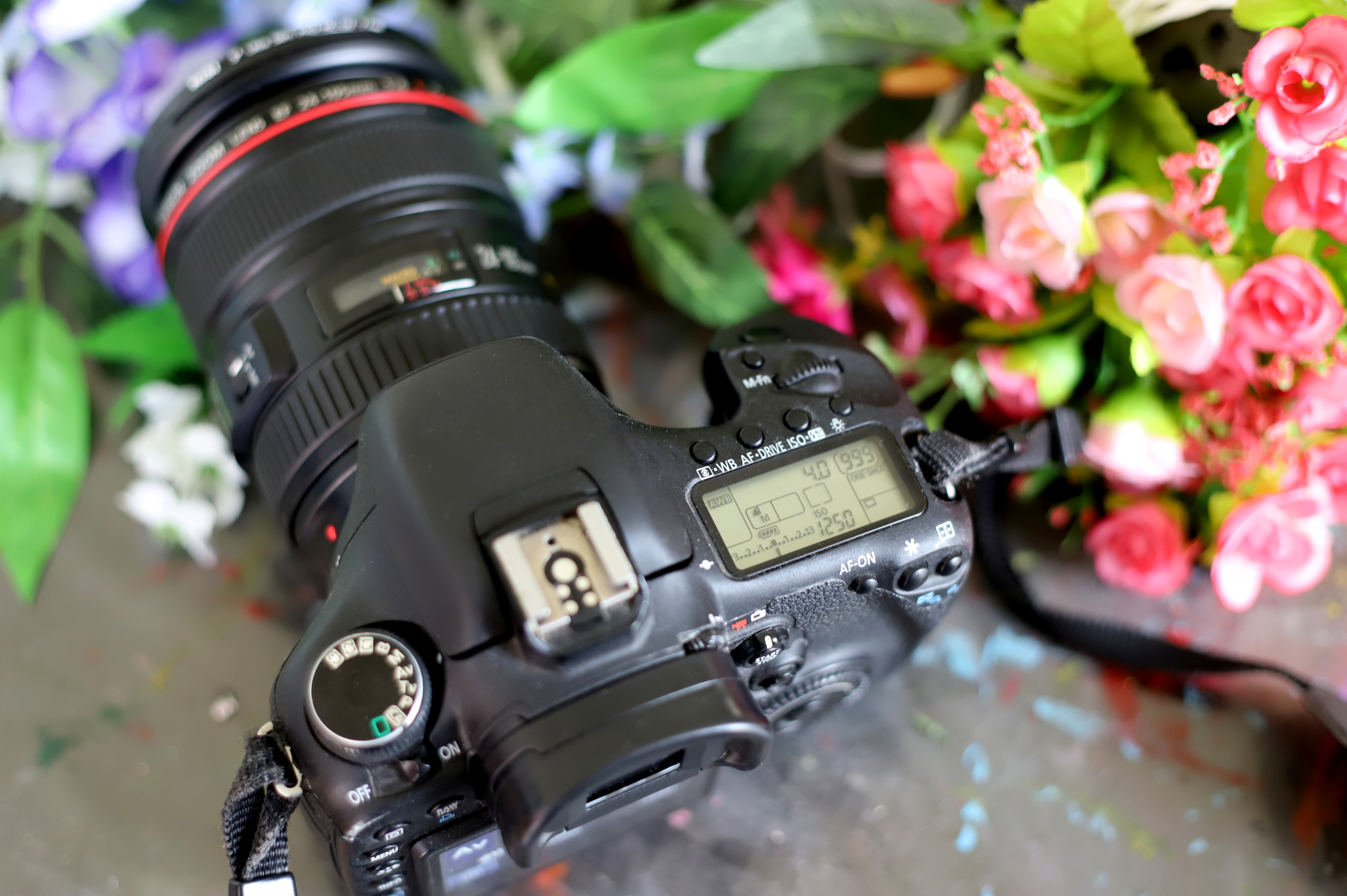 佳能r10全像素双核raw功能,佳能双核