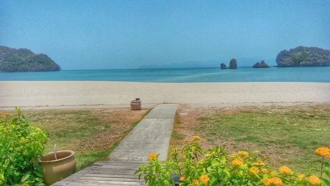 李茶的姑妈海景大别墅,李茶的姑妈在马来西亚