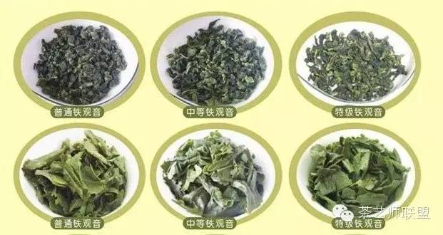 这样的茶叶你敢喝吗,这么好的茶叶你敢喝吗
