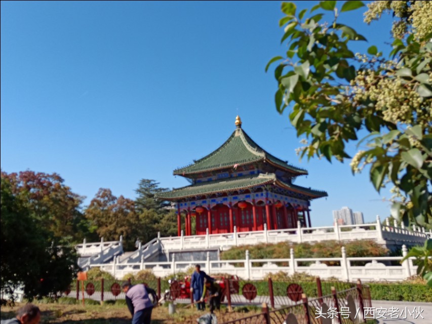 西安兴庆公园合唱团直播,西安兴庆公园歌手