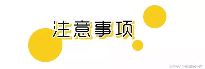 真代购和假代购的区别,网上代购是真是假