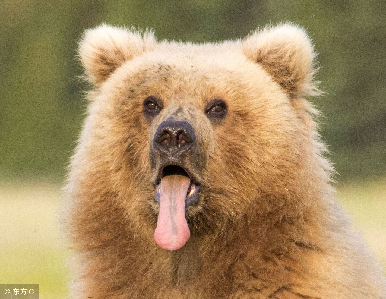 价格*动暴**下的*币特比**10年，一条牵动投资者命运的曲线