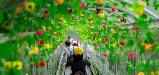 广州最刺激的漂流,广州长隆漂流