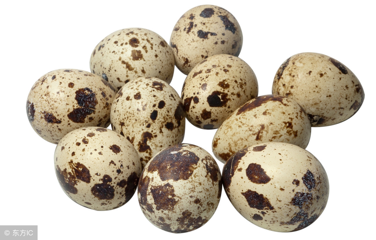 鸽子蛋和鹌鹑蛋哪个更适合儿童吃,鸡蛋鸽子蛋鹌鹑蛋哪个更适合宝宝