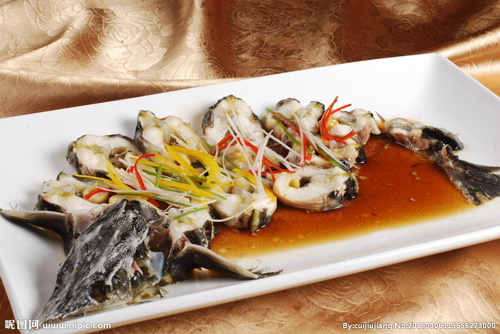 西杂鲟和中华鲟区别,西杂鲟和中华鲟杂交