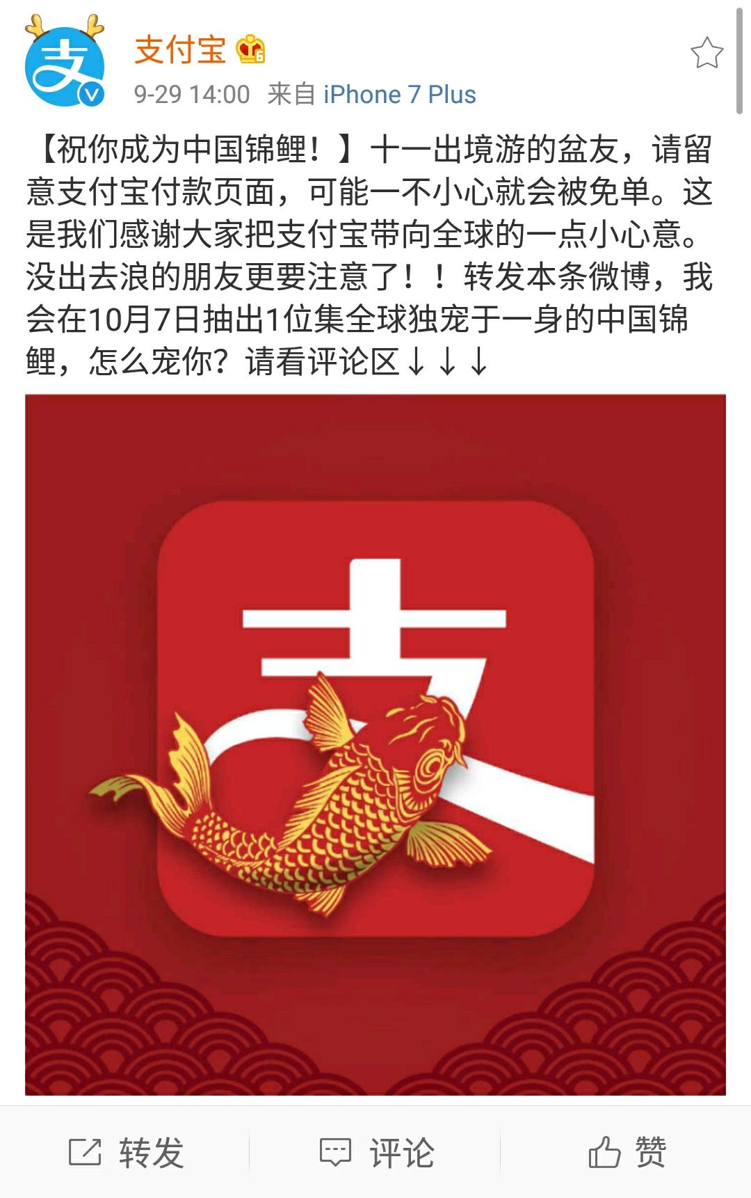 支付宝锦鲤多少钱一条,锦鲤热潮最新视频