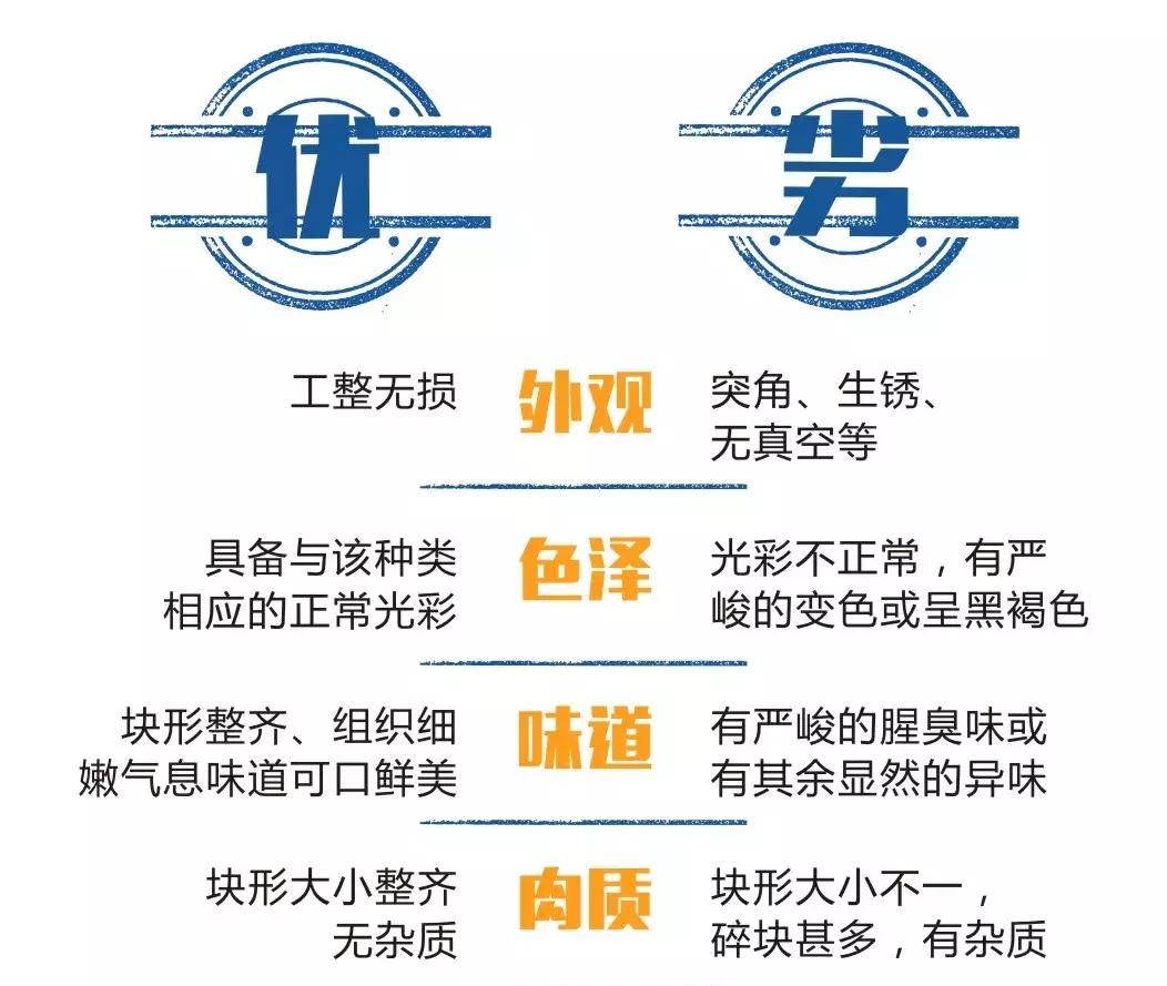 搬光了超市的所有鱼罐头，连喵星人都不想再靠近我｜测评