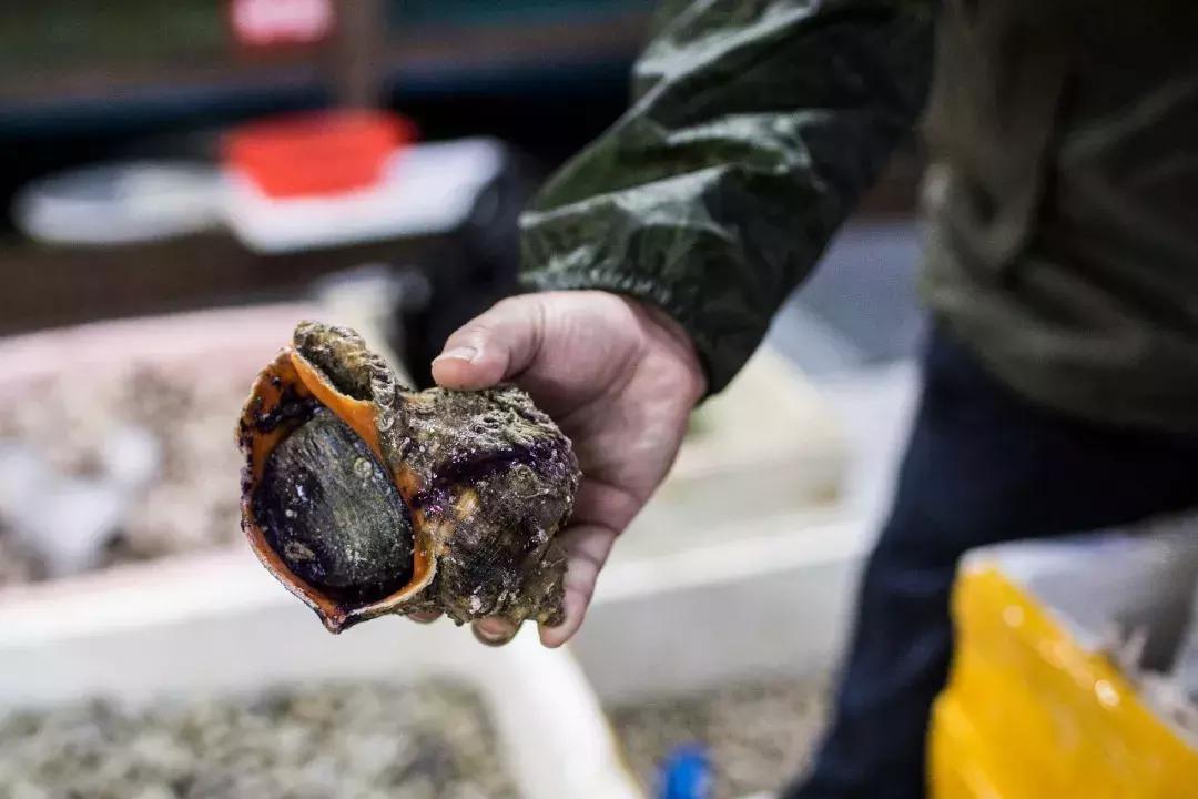 近江海鲜市场居民拆迁,近江海鲜城搬迁