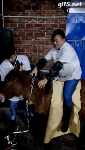 记得暴龙哥那两只驴仔吗?来清远了,人们都到这排队宠幸,爆场!