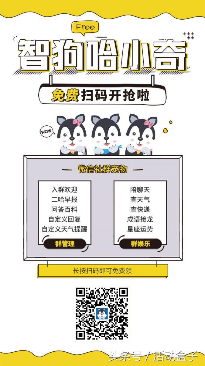 地表最强开发工具,地表最强软件效果器