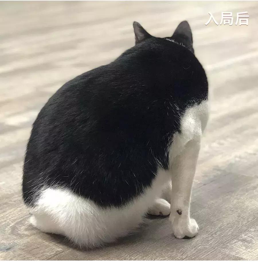 低卡减脂餐1个月瘦30斤,低卡零食瘦25斤