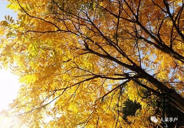 秋天到底是什么颜色的呢,秋天和秋雨是一种什么样的颜色