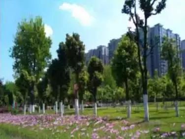 金牛区未来100个项目,金牛互助片区项目