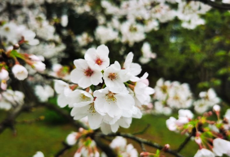 在长江大学读书是一种什么样的体验