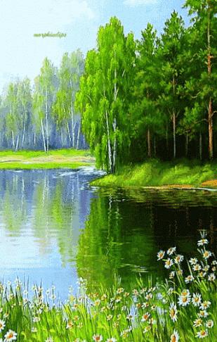 10张会动的照片,11张会动的图片