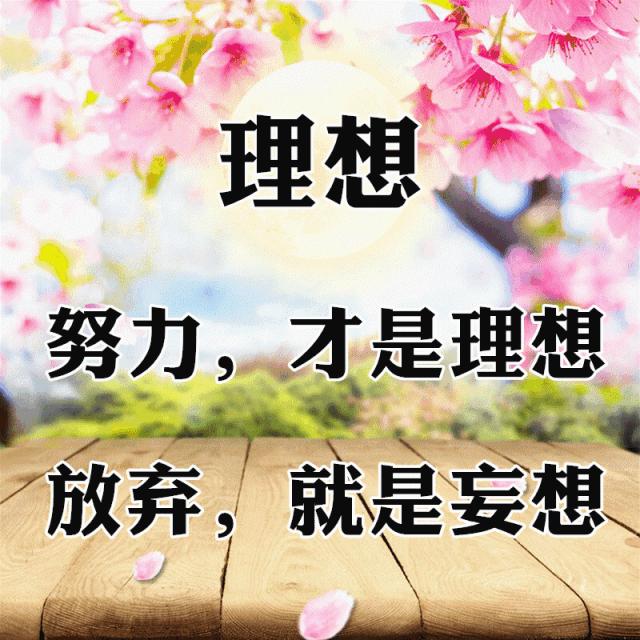 10张会动的照片,11张会动的图片