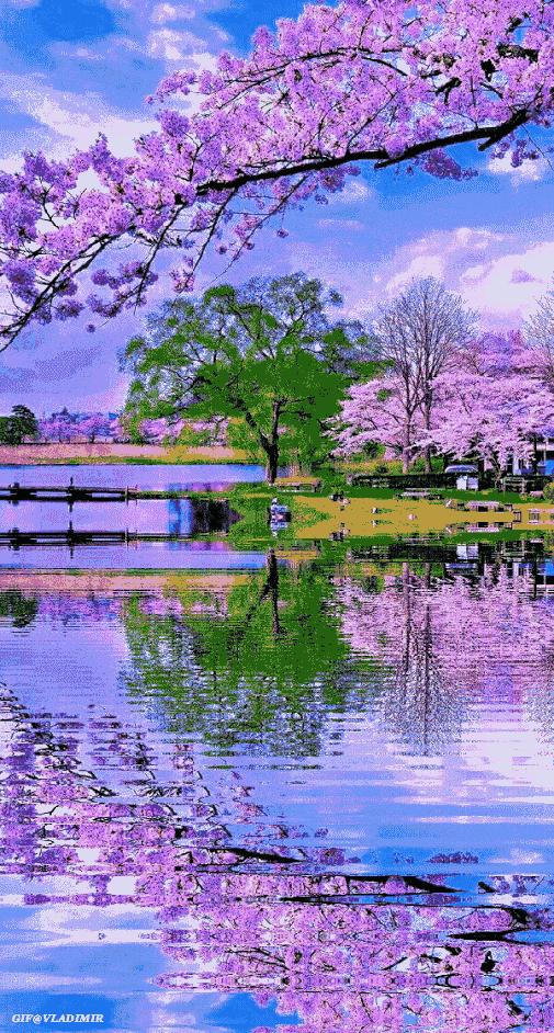 10张会动的照片,11张会动的图片