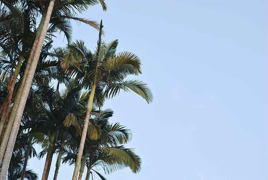 有一种心酸叫靠自己抖音视频,有一种心酸叫靠自己