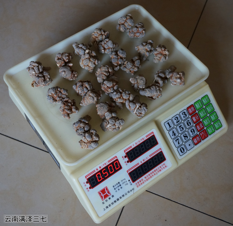 云南文山满泽30头三七田七介绍,看看三七30有是什么意思